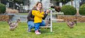 Mum and daughter playing with chickens perching in the universal freestanding chicken perch toy