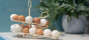 Cremefarvet hønse æggeholder i et køkken