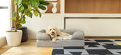 A grey bolster bed with a dog sitting on it.