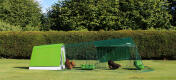 Ett grönt Eglu Go-hönshus kommer se fantastiskt ut i alla trädgårdar
