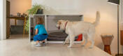 Le placard intégré de la niche cosy Omlet Fido Nook vous permet de ranger les affaires de votre chien
