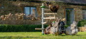 Eine Hühnerschar spielt im Garten mit Hühnerspielzeug und sitzt auf dem freistehenden Hühnerstangensystem