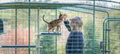 Man and cat inside a cat enclosure enjoying the personalised outdoor cat tree