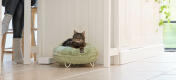 Katze in einer küche, die sich im superweichen mintgrünen donut-bett entspannt