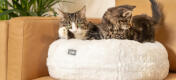 De donut kattenmand kan ook als bankkussen worden gebruikt, om uw kat een nog aangenamere plek te geven om naast u te liggen