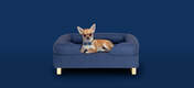 The charming Midnight Blue bed looks ultra glamorous with the gold rail feet.