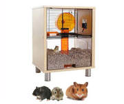 Birch Qute Hamster and Gerbil House