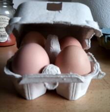Caja de huevos Omlet