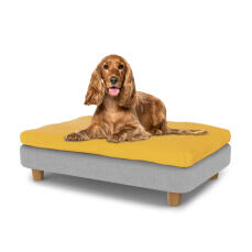 Mały pies siedzący na średnim Topology leGowisko dla psa z poduszką z fasoli i okrągłymi drewnianymi nóżkami