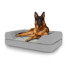 Chien assis sur un grand lit pour chien Topology avec traversin