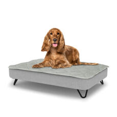Hund sitzt auf einem mittelgroßen Topology hundebett mit gestepptem topper und schwarzen metall-haarnadelfüßen