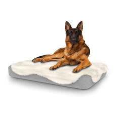 Hund sitzt auf großem Topology hundebett mit schaffellauflage