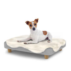 Pies siedzący na małym Topology leGowisku dla psów z nakładką z owczej skóry i drewnianymi okrągłymi łapami