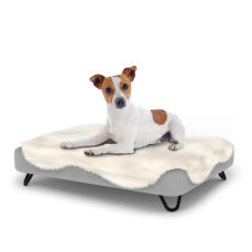 Cane seduto su un piccolo Topology letto per cani con topper in pelle di pecora e piedini in metallo nero
