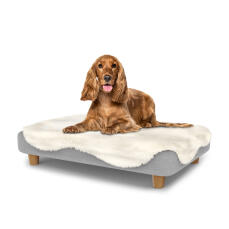 Hund sitzt auf einem mittelgroßen Topology hundebett mit schafsfellauflage und runden holzfüßen