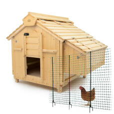  Lenham hønsehus i træ med en kylling og et stykke fleksibelt hegn i et Studio