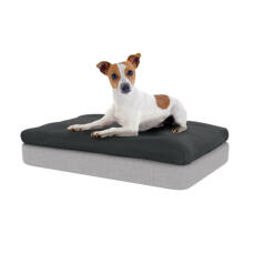 Il materasso in memory foam e il beanbag grigio carbone forniranno un supporto imbattibile per il vostro cane.