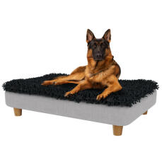 Cane pastore tedesco seduto sul grande Topology letto per cani elevato