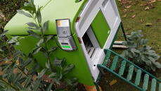 Omlet grönt Eglu Cube stort hönshus med Omlet automatisk dörr till hönshuset