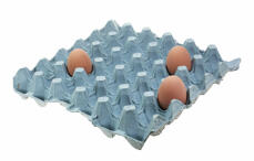 Blue Egg Trays with three eggs