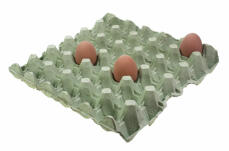 Bandeja de huevos verdes con tres huevos
