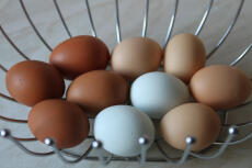 Dejlige farvede æg fra mine reddede piger