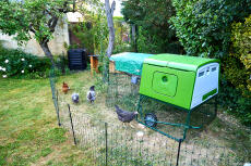 A green chicken coop with a run installed in a garden