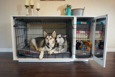 Two black and white huskies in a Fido Nook with a wardrobe and mirror