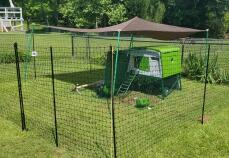 A green chicken coop with chicken fencing in a garden