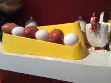 Alternance d'œufs d'appenzell et d'œufs d'été !