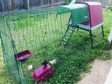 A pink coop with a 2 meter run in a garden