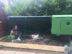 girl sat inside a chicken run with cube chicken coop with hens around her