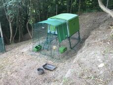 Een groen kippenhok met een ren van 2 meter en een groen dekzeil in een achtertuin