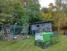 Een groen kippenhok in een grote tuin