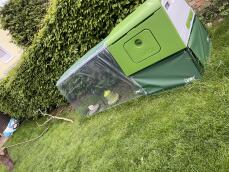 Groen Eglu Cube groot kippenhok en ren met duidelijke afdekking in tuin