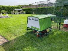 Green Eglu Cube groot kippenhok en ren in tuin