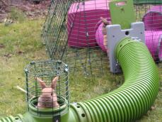 Een konijn dat zijn kop boven zijn uitkijktoren uitsteekt in zijn groene tunnel