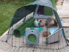 Two little rabbits cleaning themselves inside a run attached to a rabbit hutch