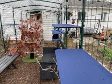 A catio including 5 blue shelves for cats to play on