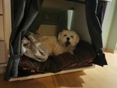 Dog laying down in Omlet Fido Nook dog crate furniture
