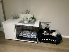 Omlet Fido Studio meubles pour chiens