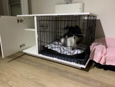 Hond in Omlet Fido Studio hondenkrat meubilair