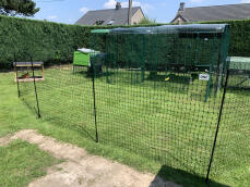 Chicken fencing installed around a large chicken run and coop