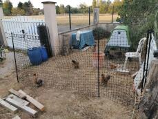 Het maken van een plek in uw tuin om kippen te houden.