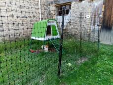 Een kippenhek in een tuin, rond een groen kippenhok