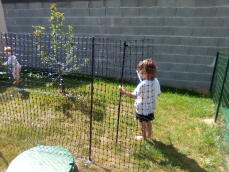 Un bambino piccolo che aiuta a sistemare le recinzioni per polli