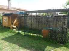 A large covered catio with a shed inside
