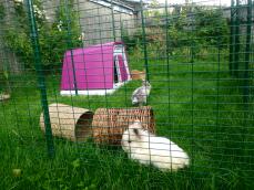 A couple of rabbits inside their enclosure, next to their pink hutch