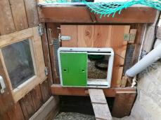 Omlet groene automatische kippenhok deur bevestigd aan houten kippenhok