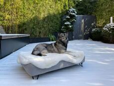 Hond liggend op Omlet Topology hondenbed met schapenvacht topper en zwarte haarspeld voeten